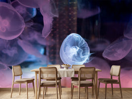 photo-wallpaper-the-beauty-of-jellyfish