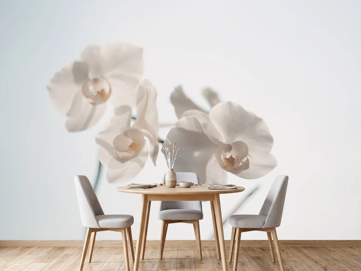 photo-wallpaper-graceful-orchids