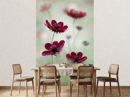photo-wallpaper-cosmos-sway-x