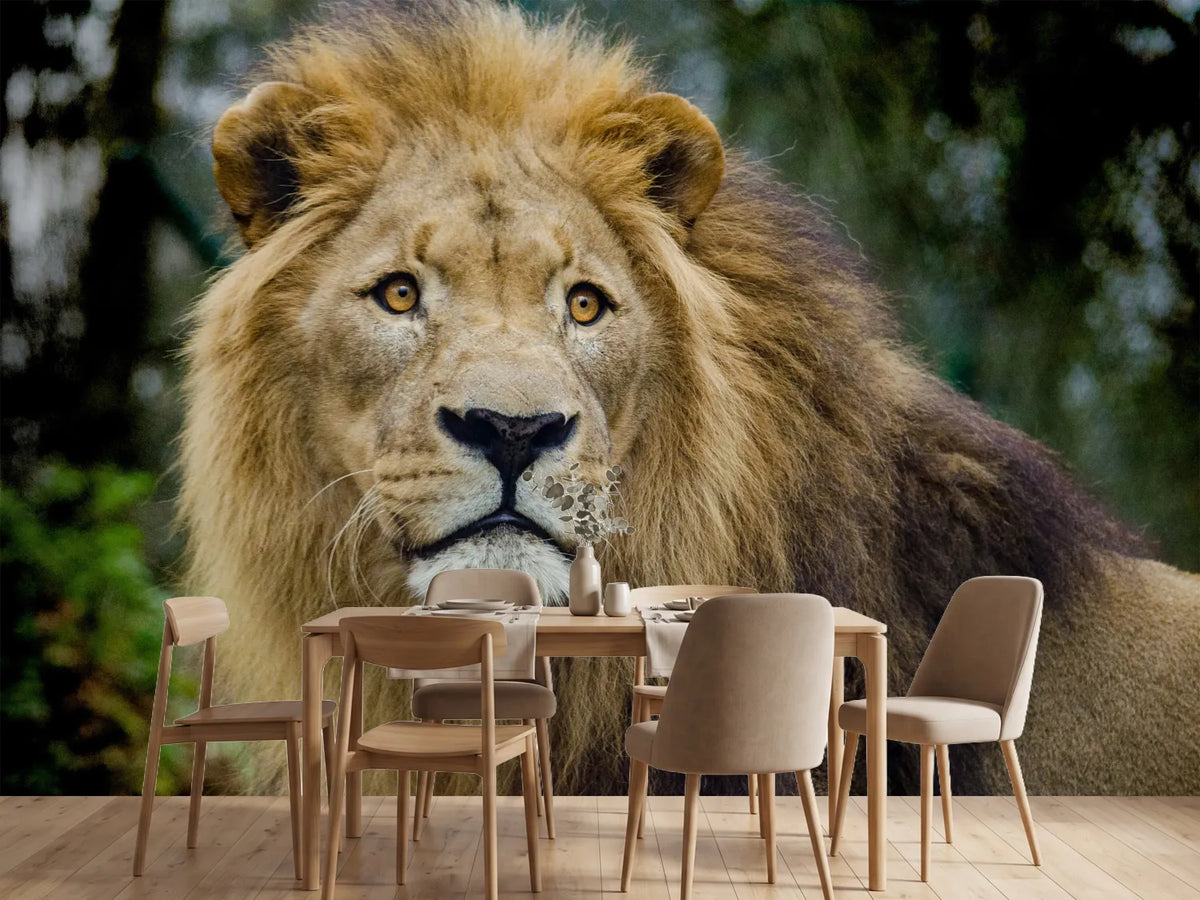 photo-wallpaper-king-of-wildlife