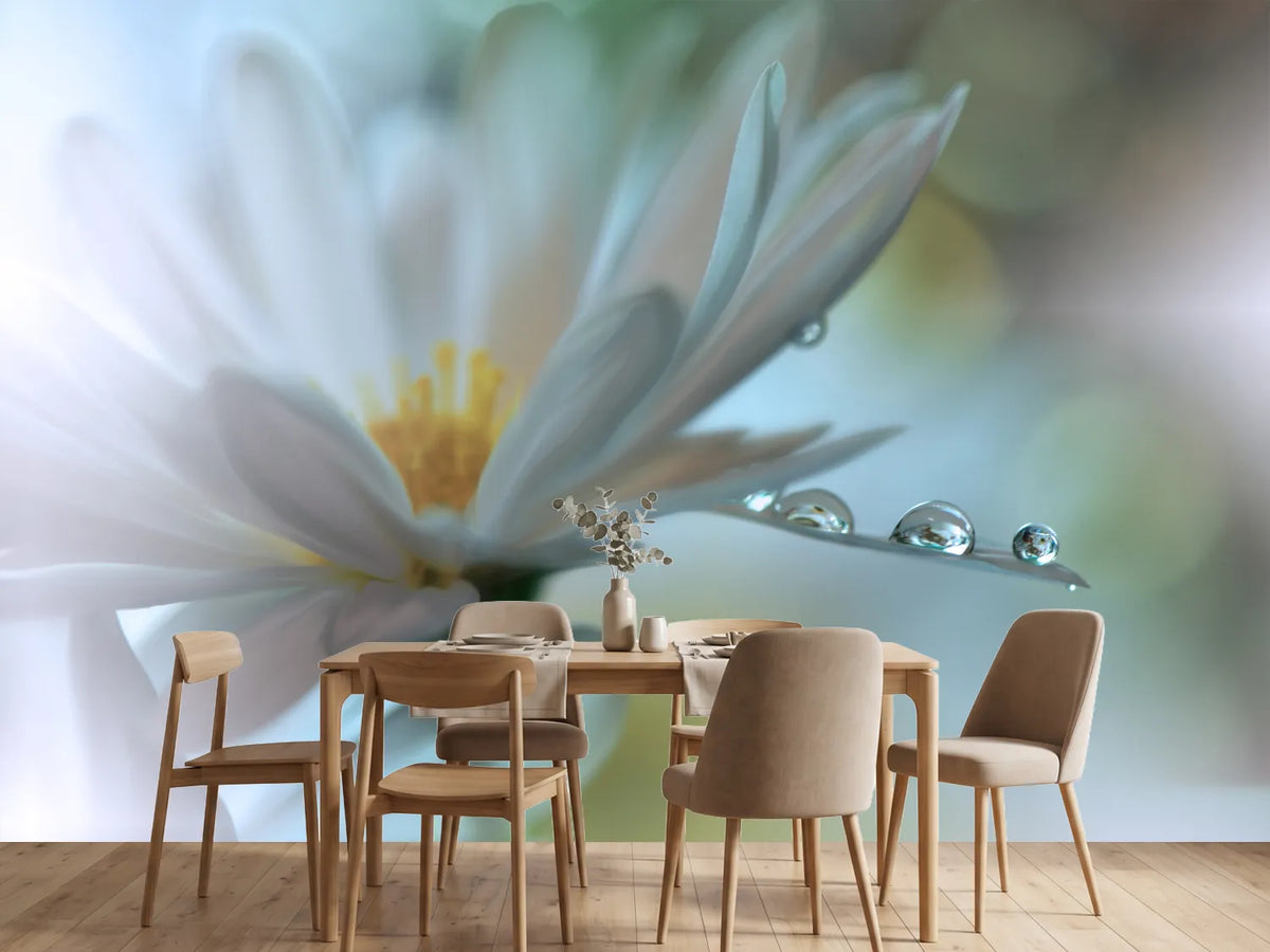 photo-wallpaper-light-touch
