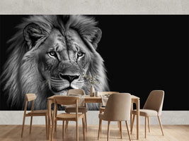 photo-wallpaper-lion-king-portrait-on-black-background-wildlife-animal