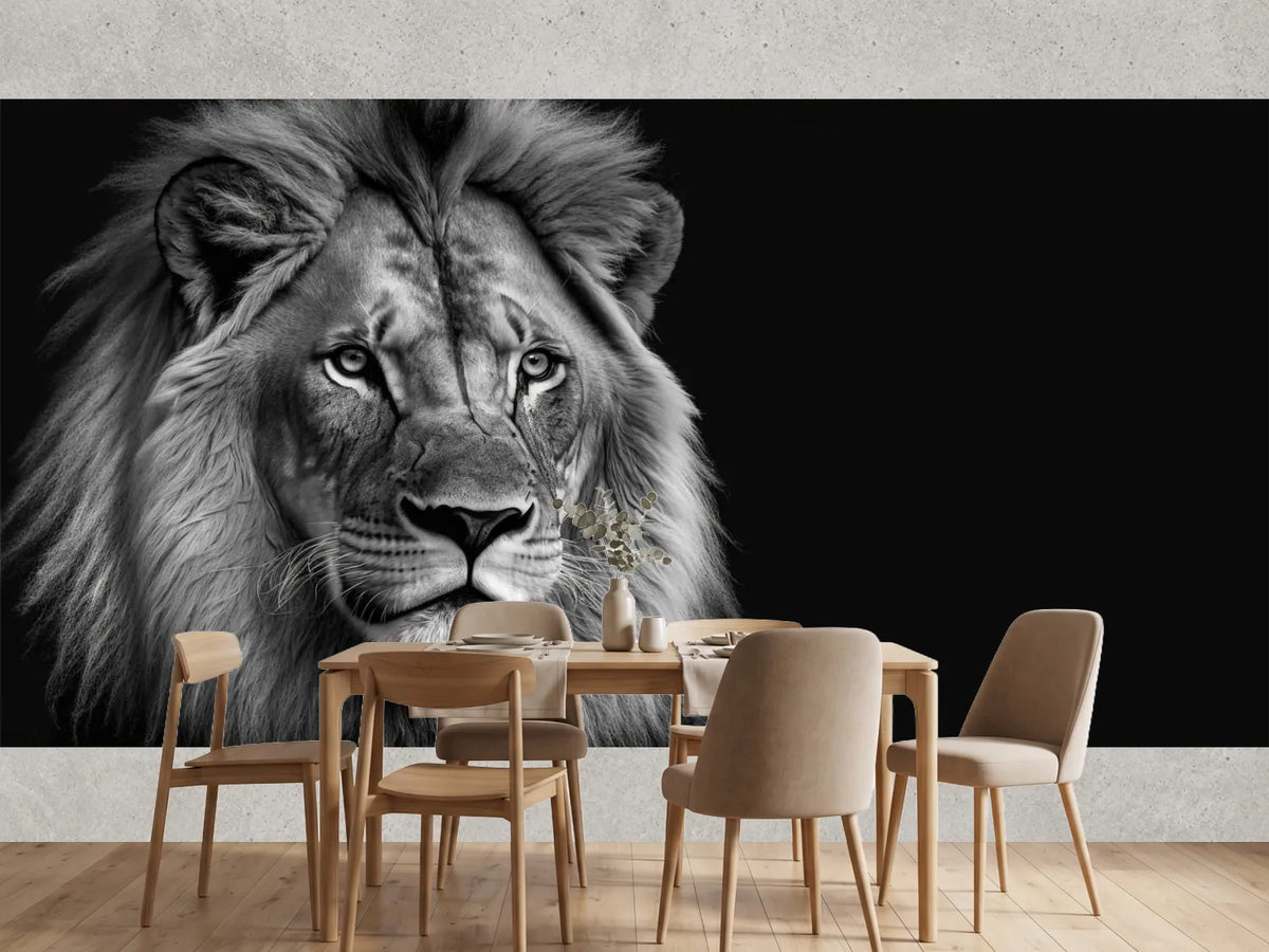 photo-wallpaper-lion-king-portrait-on-black-background-wildlife-animal