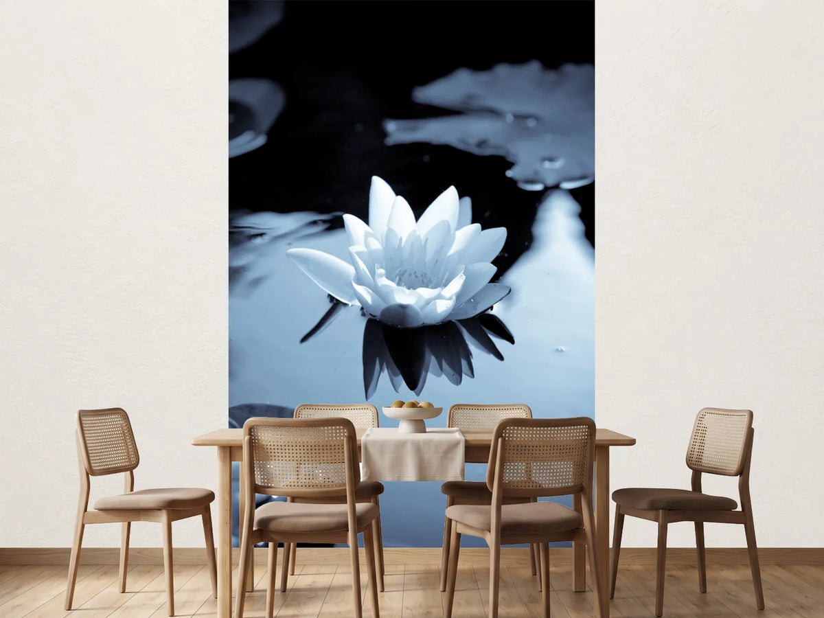 photo-wallpaper-black-and-white-photograph-waterlily
