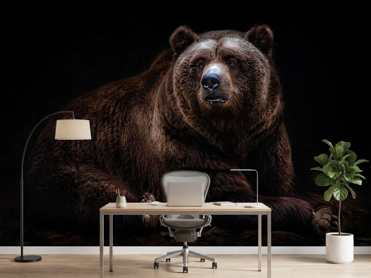 photo-wallpaper-bear-portrait-xav