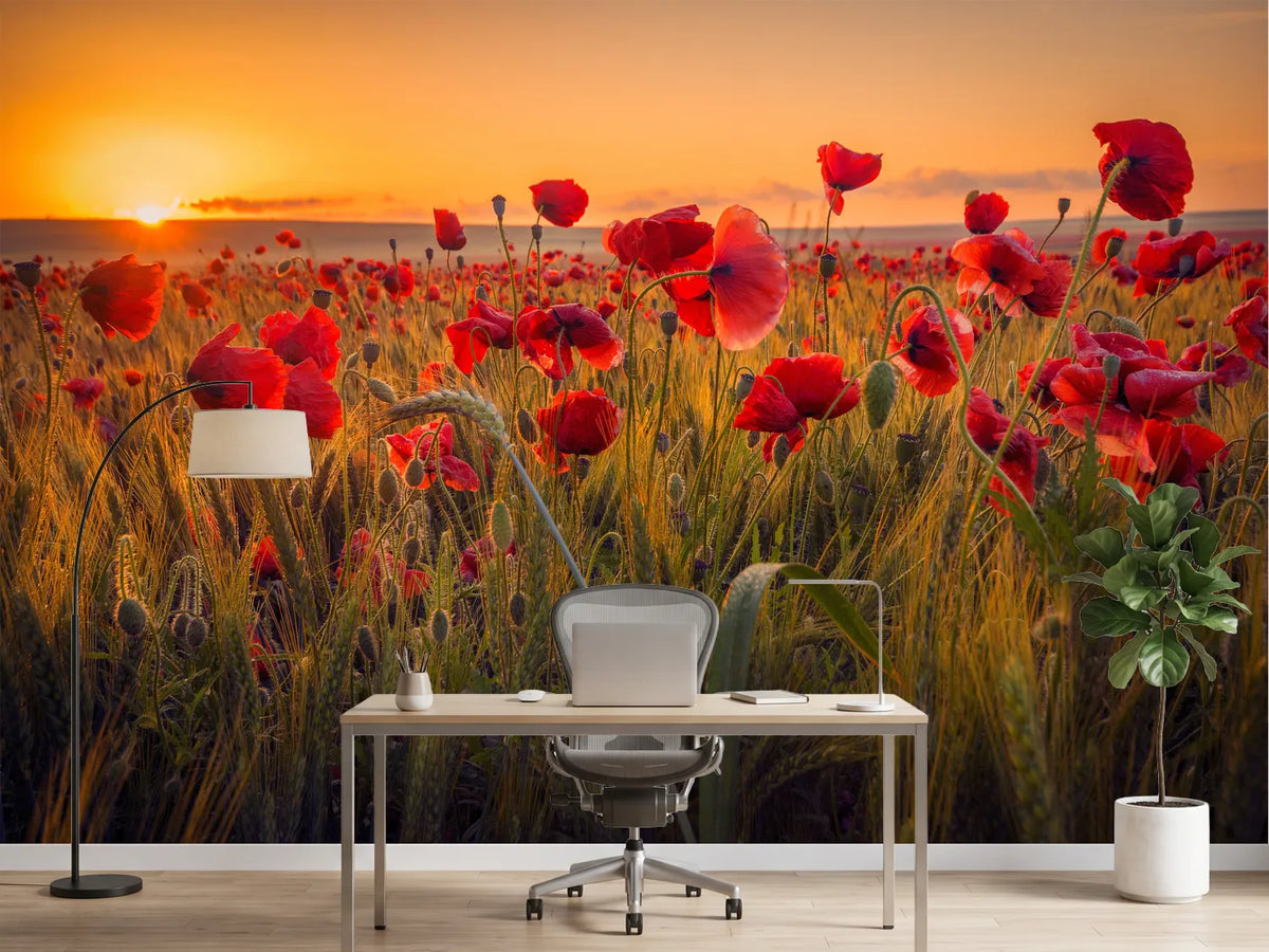 photo-wallpaper-poppies-in-a-wheat-field-at-sunrise