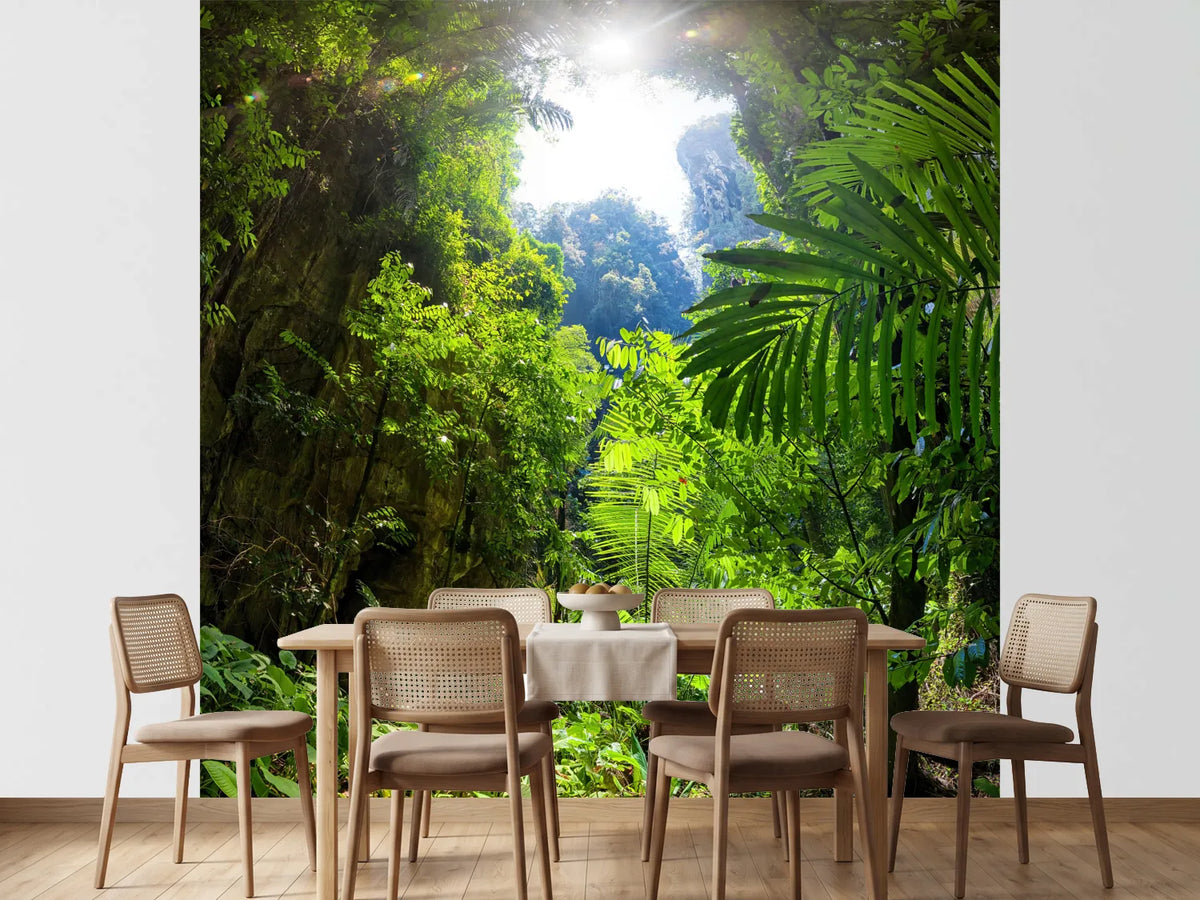 photo-wallpaper-clearing-in-the-jungle