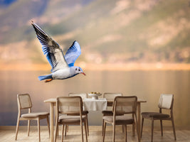 photo-wallpaper-the-flying-seagull