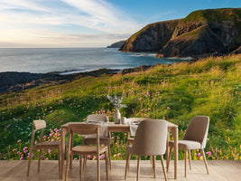 photo-wallpaper-beautiful-coastal-view-with-flowers-ceibwr-bay-pembrokeshire-wales