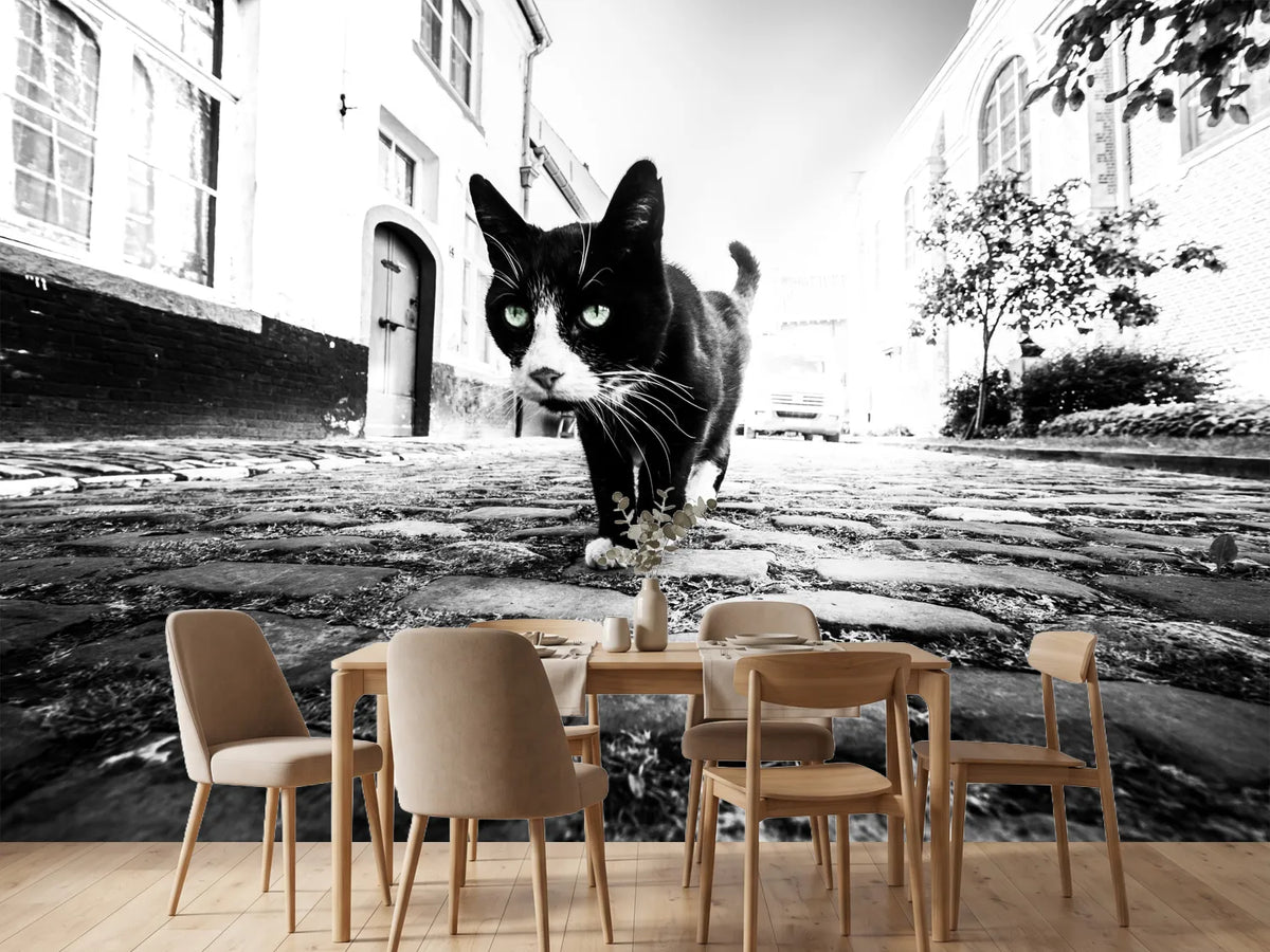photo-wallpaper-focus-x