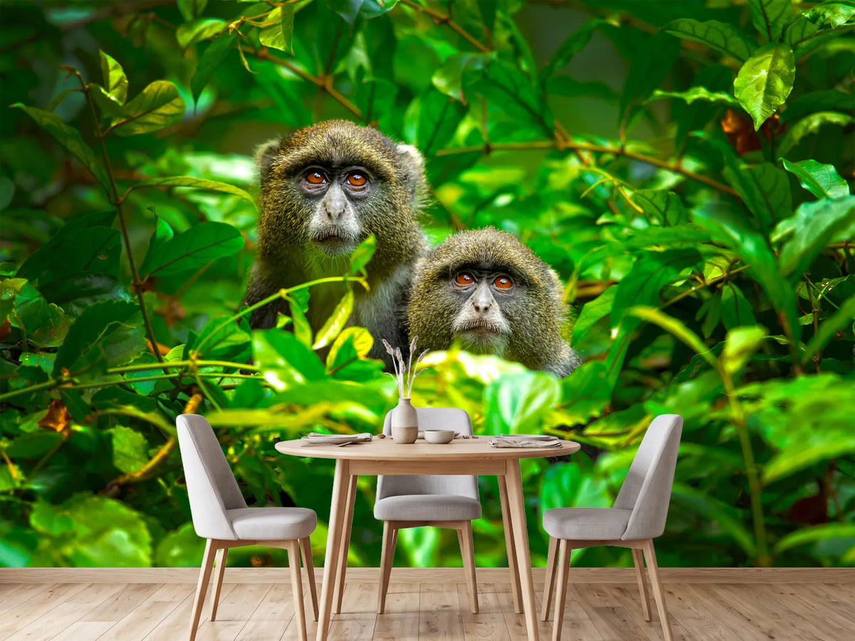 photo-wallpaper-blue-monkey-x
