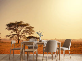 photo-wallpaper-pastures-in-kenya