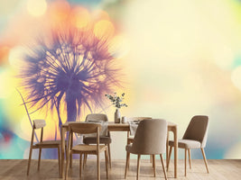 photo-wallpaper-the-dandelion-in-the-light