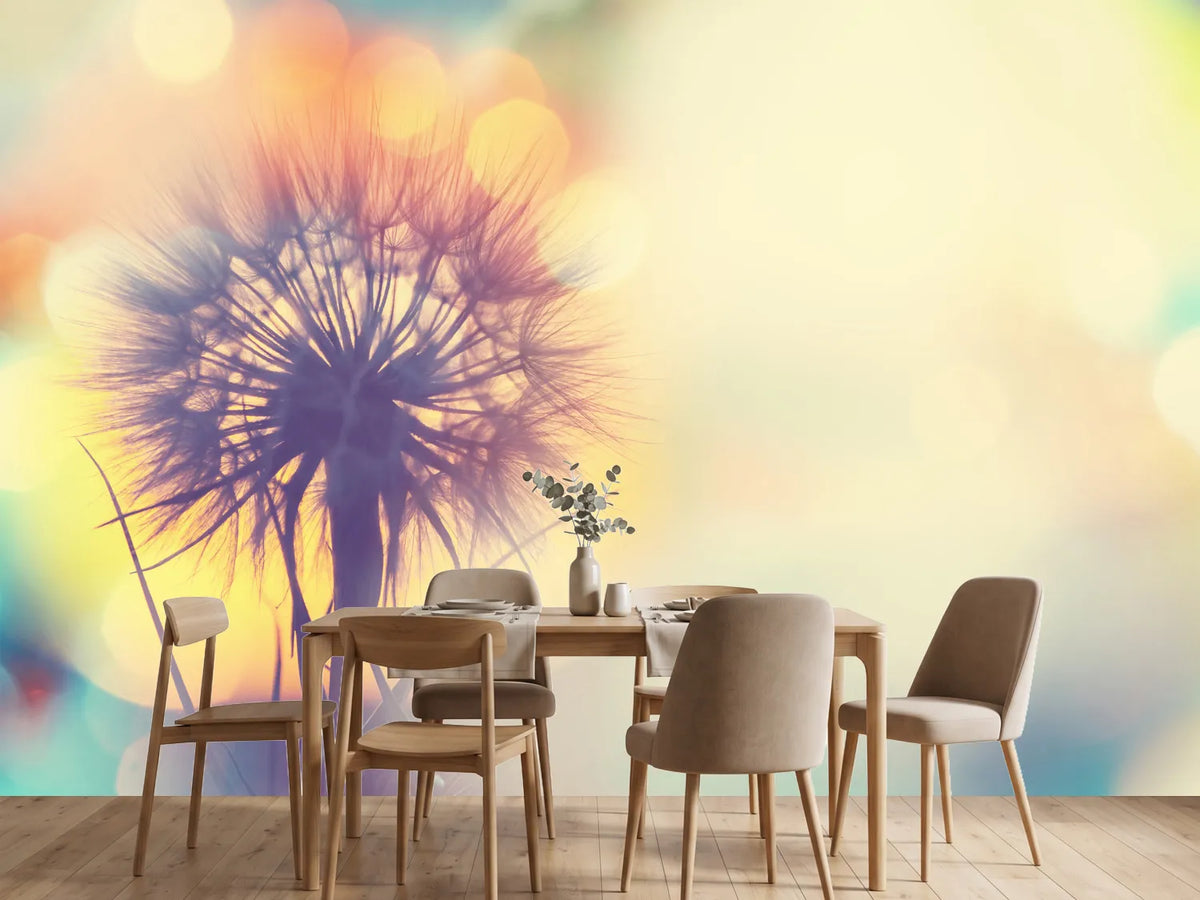 photo-wallpaper-the-dandelion-in-the-light