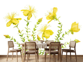 photo-wallpaper-hypericum-x