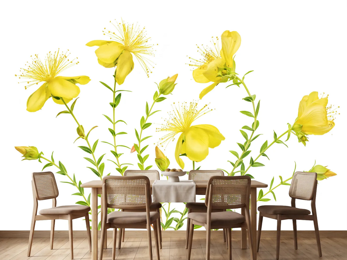 photo-wallpaper-hypericum-x