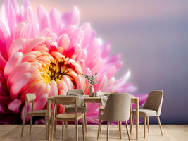 photo-wallpaper-macro-chrysanthemum