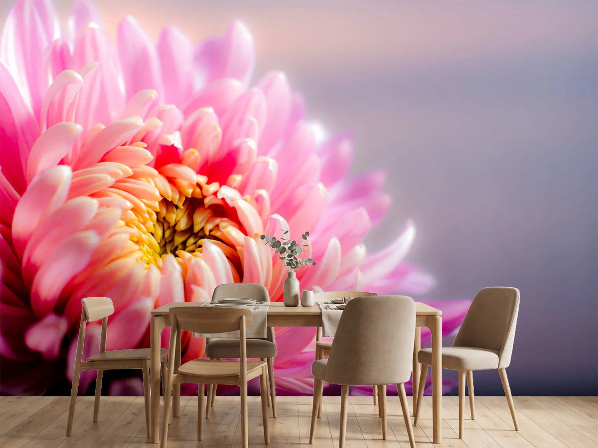 photo-wallpaper-macro-chrysanthemum