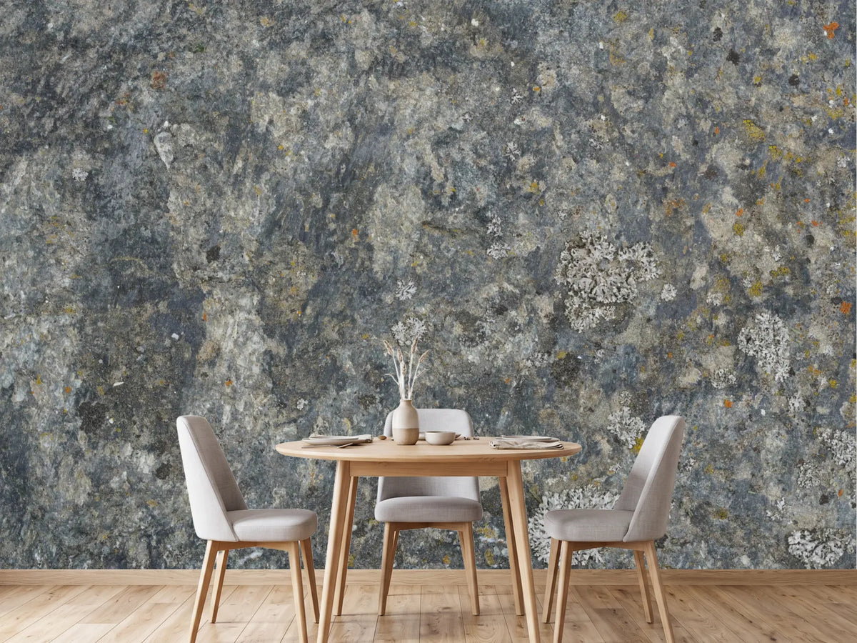 photo-wallpaper-weathered-stone-lichen-texture