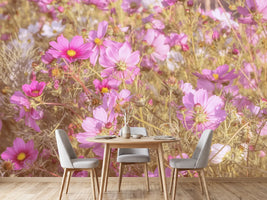 photo-wallpaper-the-jewelry-basket-cosmea