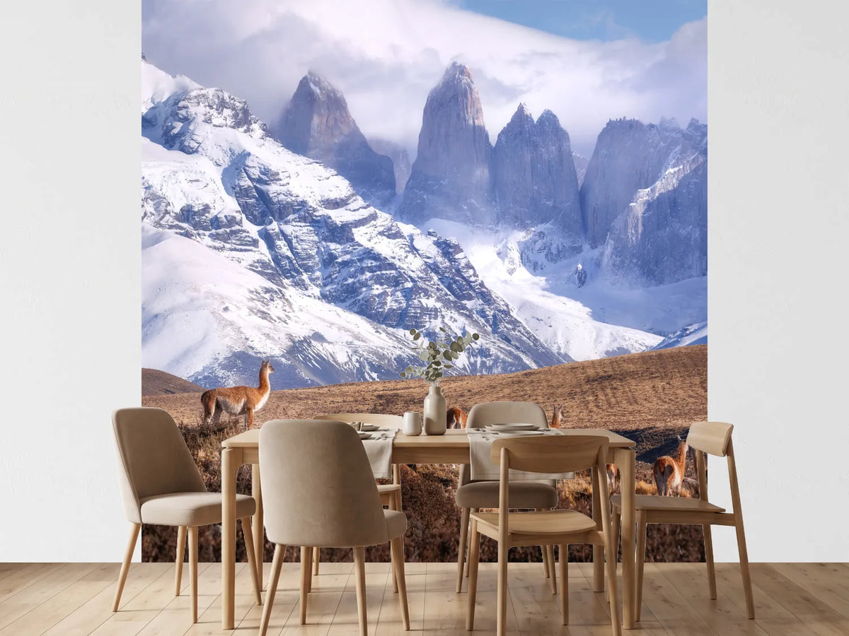 photo-wallpaper-guanakos-in-patagonia-x
