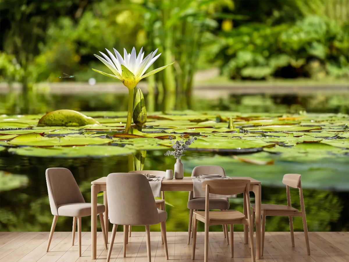 photo-wallpaper-water-lily-in-nature