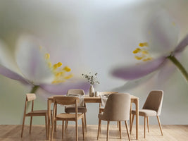 photo-wallpaper-soft-whispering