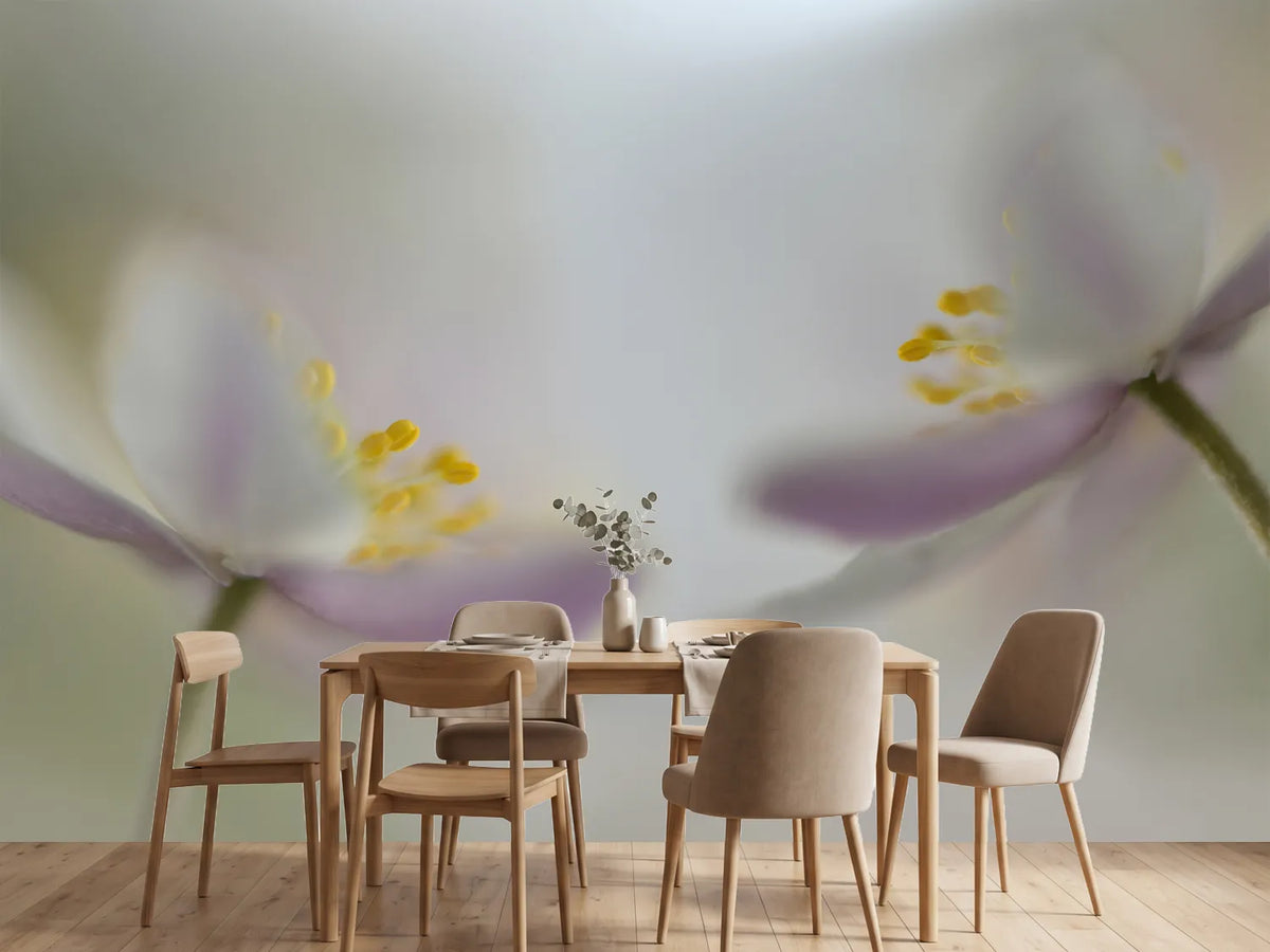 photo-wallpaper-soft-whispering