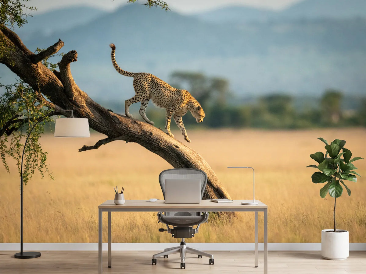 photo-wallpaper-cheetah-walks-down-twisted-tree-in-savannah