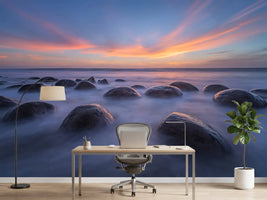photo-wallpaper-sunset-at-bowling-ball-beach-x