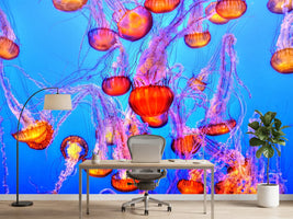photo-wallpaper-colorful-jellyfish