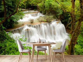 photo-wallpaper-in-treehouse
