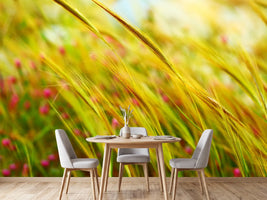 photo-wallpaper-the-wheat-field