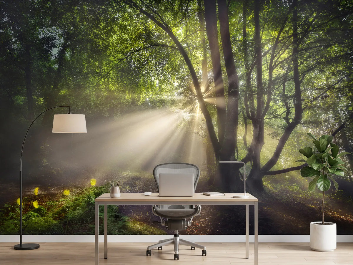 photo-wallpaper-the-morning-light-x