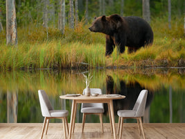 photo-wallpaper-bear-and-fish-x