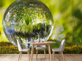 photo-wallpaper-nature-ball