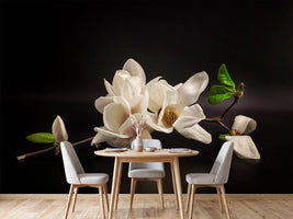 photo-wallpaper-magnolia