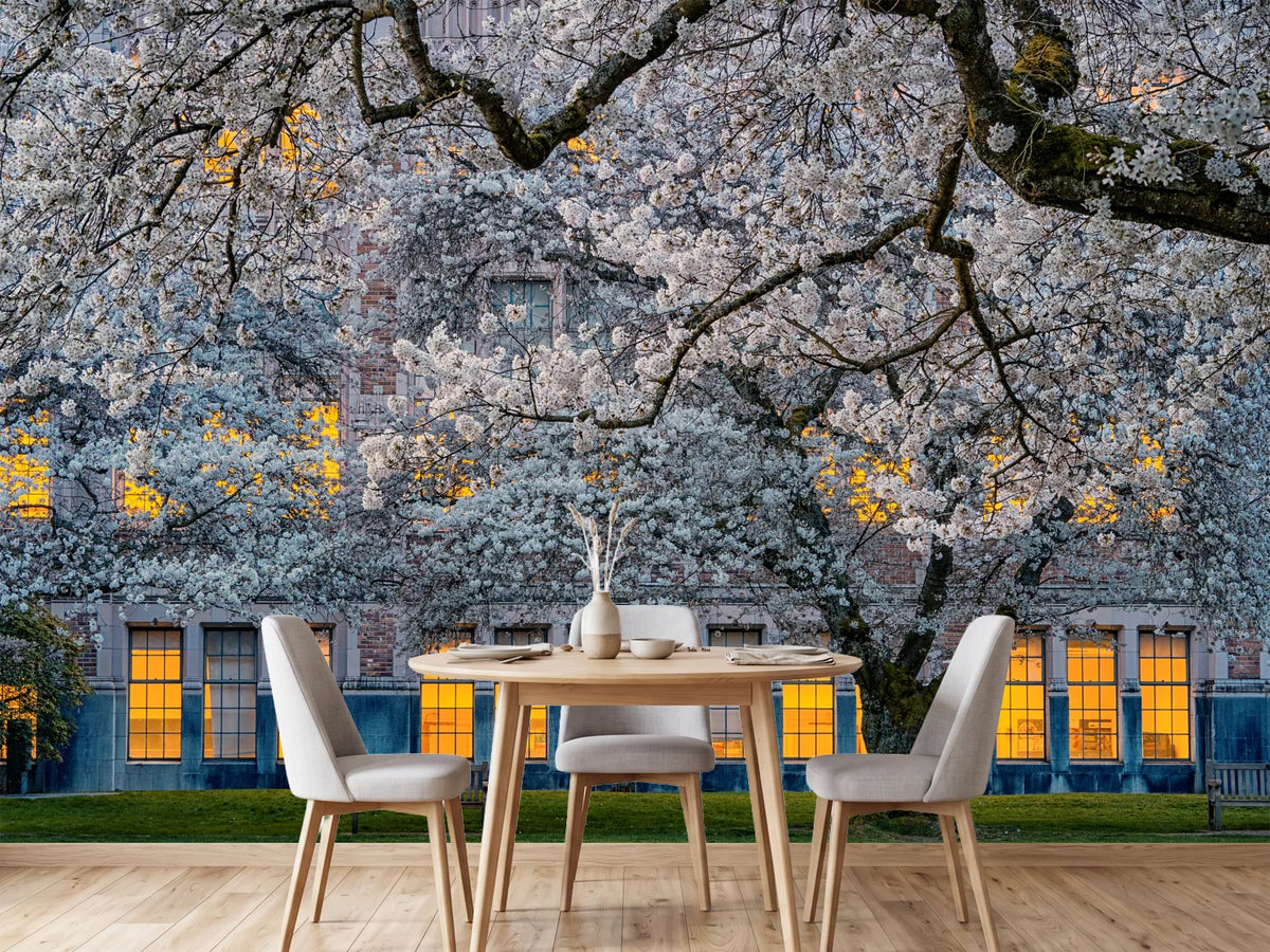 photo-wallpaper-morning-at-university-of-washington-x
