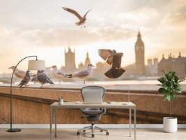 photo-wallpaper-the-pigeons-on-the-roof