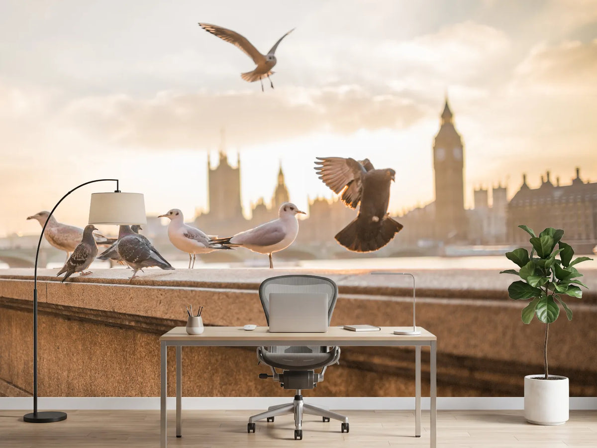 photo-wallpaper-the-pigeons-on-the-roof