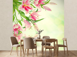 photo-wallpaper-lilies-on-water
