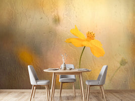 photo-wallpaper-soft-yellow-cosmos