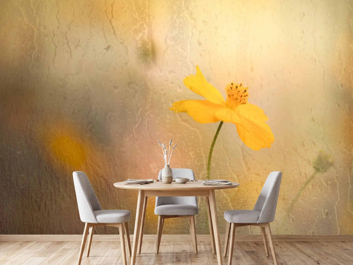photo-wallpaper-soft-yellow-cosmos