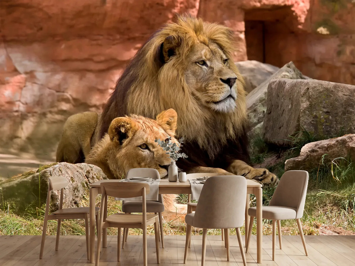 photo-wallpaper-a-lion-couple