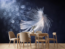 photo-wallpaper-ethereal-feather-light