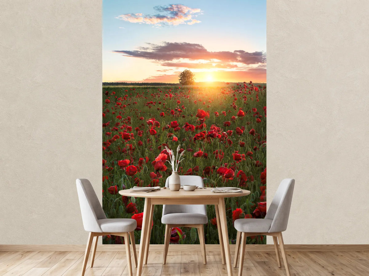 photo-wallpaper-poppy-fields-of-sweden