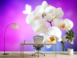 photo-wallpaper-flower-power-orchid