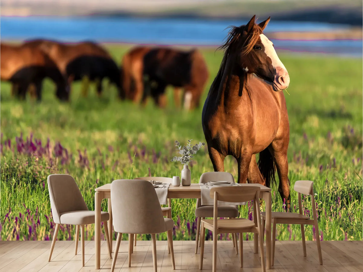photo-wallpaper-wild-horses-graze-in-the-sunlit-meadow