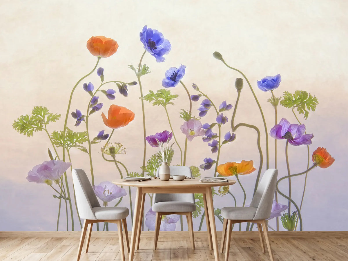 photo-wallpaper-poppy-a-anemone-x