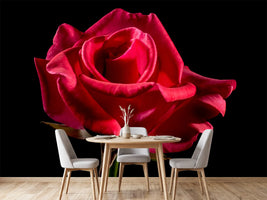 photo-wallpaper-the-flower-of-love